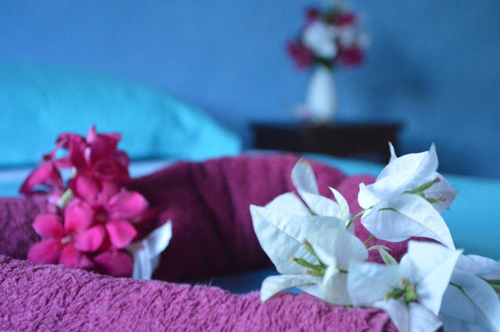 Manga Rosa Hospedagem กาโนอาเกบราดา ห้อง รูปภาพ